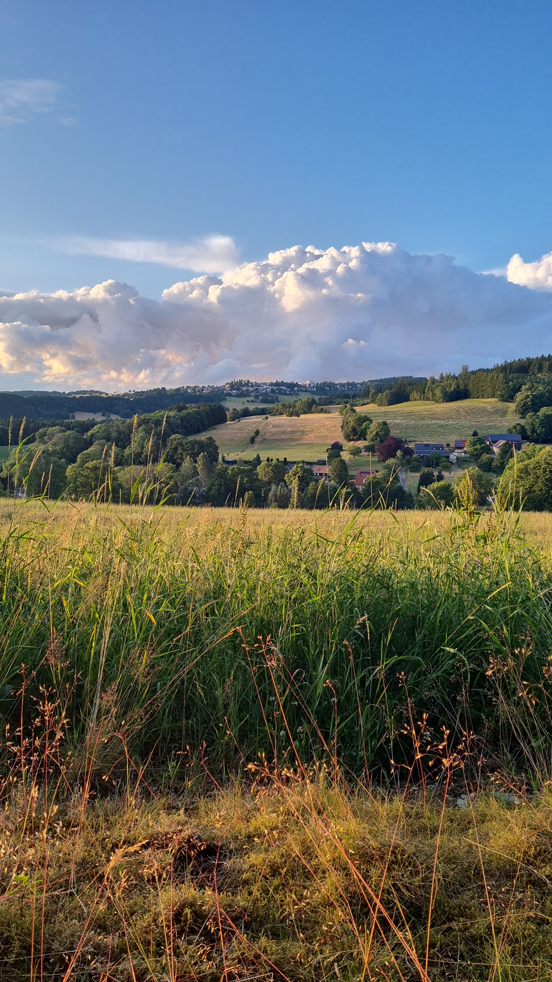 Landschaft Eschenbach